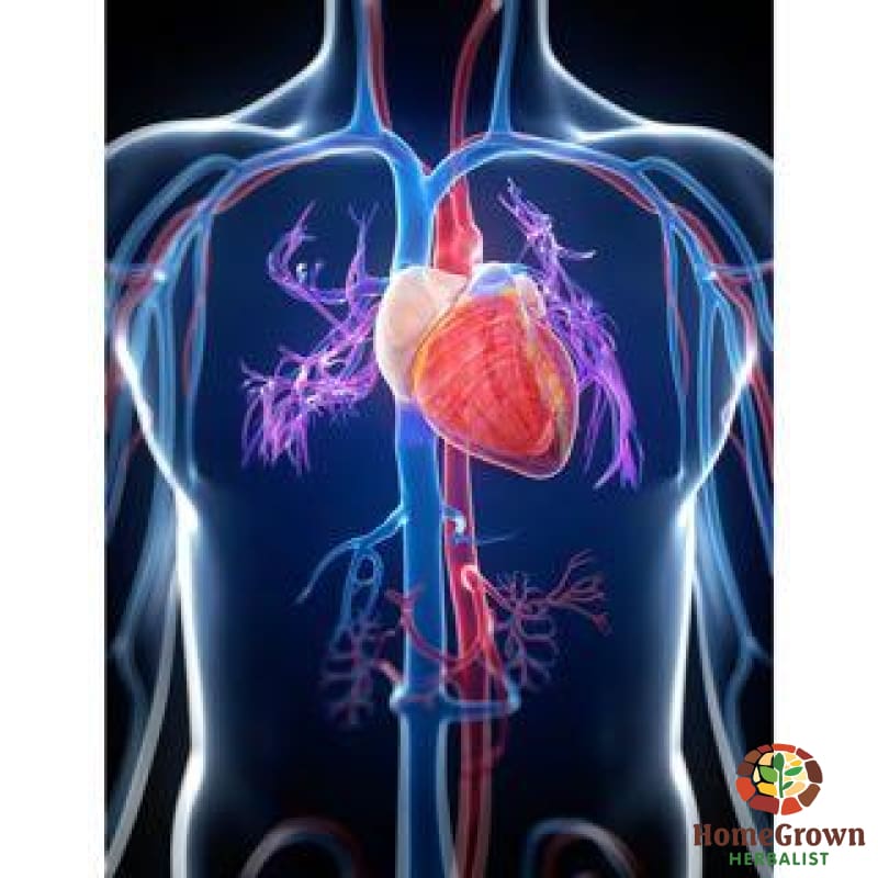 Heart - Support - Herb Formula HomeGrown Herbalist blood Circulatory & Lymphatic Formulas Male Formulas Nutritive & Support Formulas