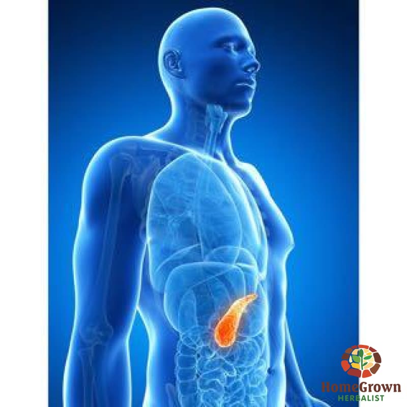 Pancreas - Blood Sugar - Herb Formula Homegrown Herbalist Blood Digestive Endocrine Formulas